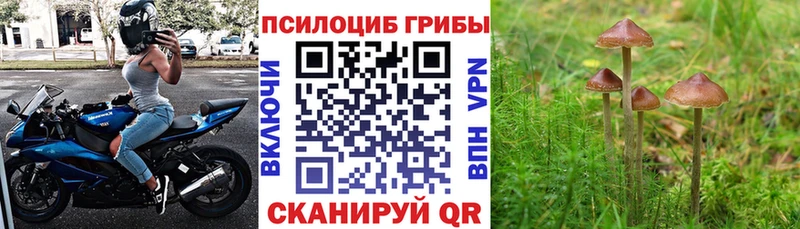 Галлюциногенные грибы Magic Shrooms  купить наркотик  Устюжна 