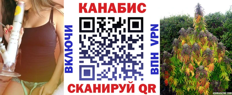 где купить наркоту  Устюжна  Марихуана MAZAR 